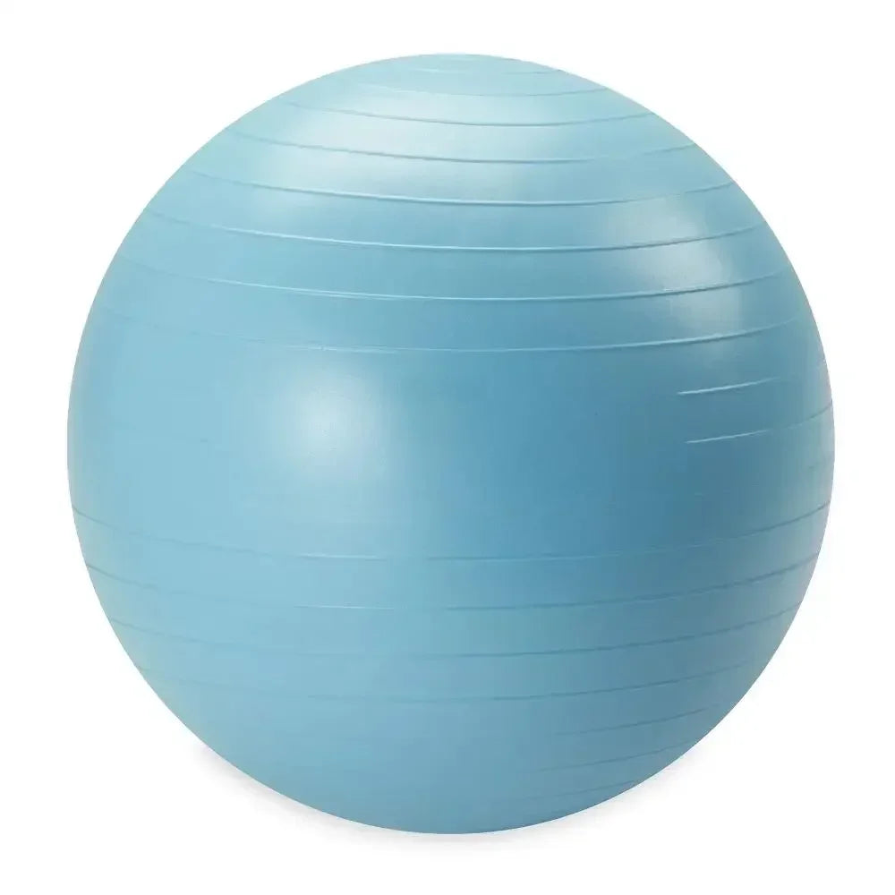Weighted Fitness Ball With Pump For Core Strength And Balance