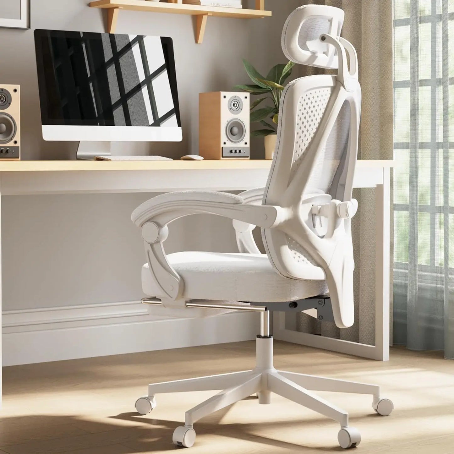 Dowinx Ergonomic Mesh Office Chair With Lumbar Support