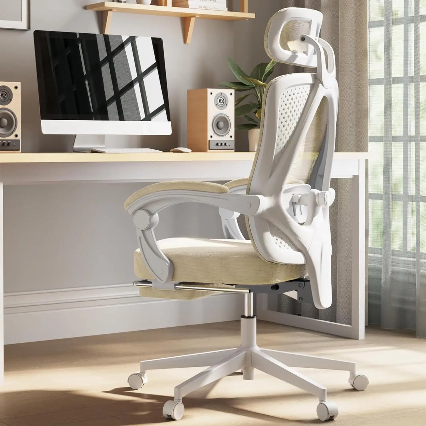 Dowinx Ergonomic Mesh Office Chair With Lumbar Support